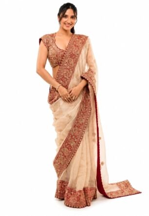 Soft Zipsy Silk Saree with Dori Embroidery and Sequins Work